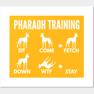 Pharaoh Training Pharaoh Dog Tricks Posters and Art